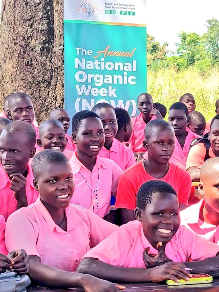 burton_dpoet's tweet photo. RECAP FROM YESTERDAY;

Awarding certificates to pupils who participated in the poem writing competition in Pagak Primary School, Amuru district

#NOW2023 https://t.co/QEbqnyZhYZ