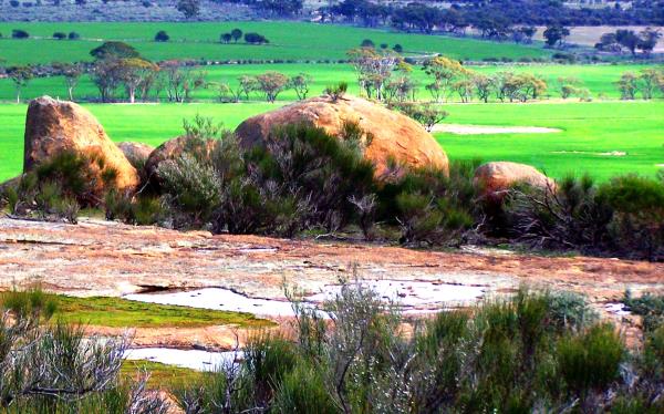 Employment Opportunity. RDA Wheatbelt is seeking a Director Regional Development. Looking for the right person to lead, maintain relationships across govt, business, industry and be a passionate advocate for the region. #Wheatbelt #employment #vacancy rdawheatbelt.com.au/rda-wheatbelt-…