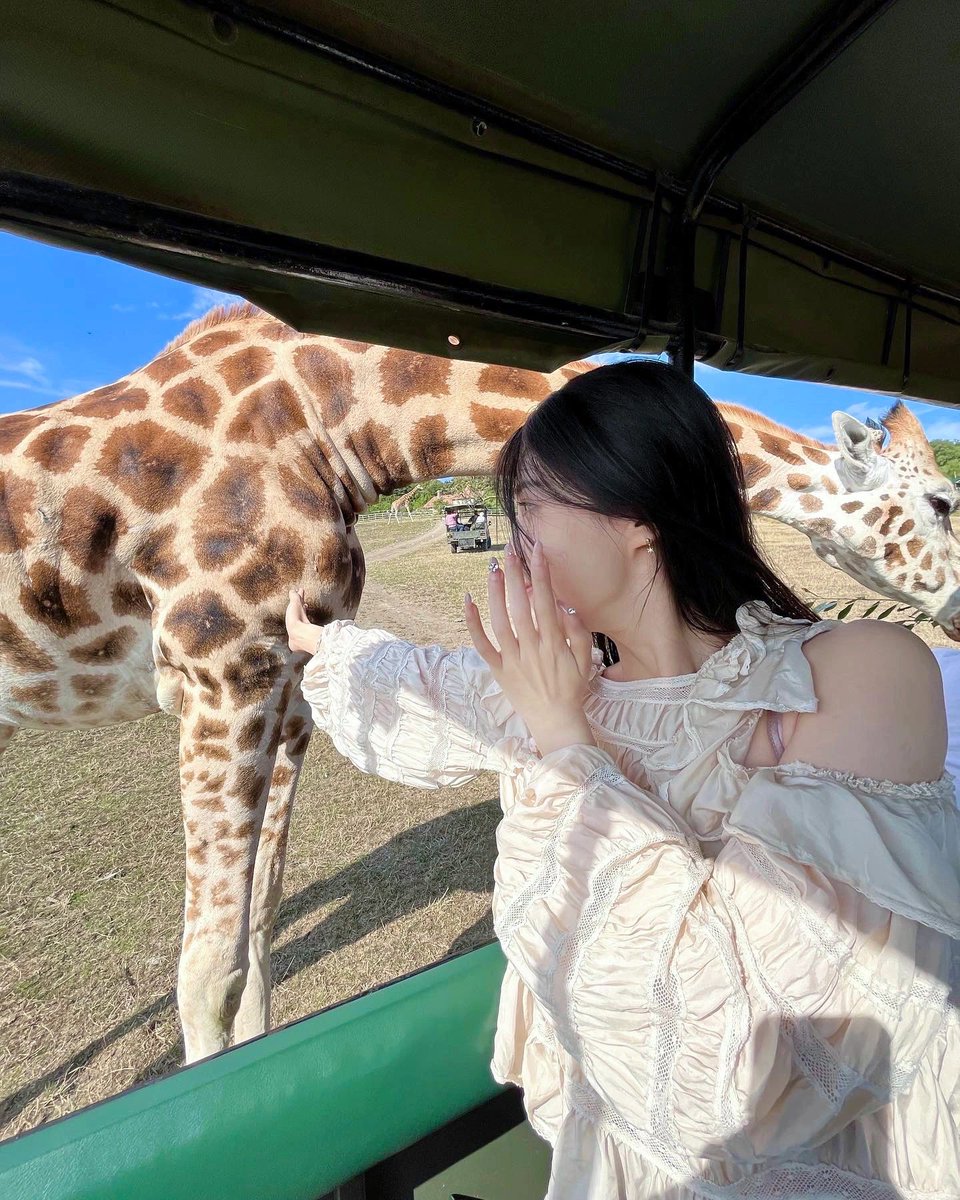 aryanejesusfer2's tweet photo. All-round contact with nature and zero distance communication with animals. https://t.co/IVb7lSdFe1