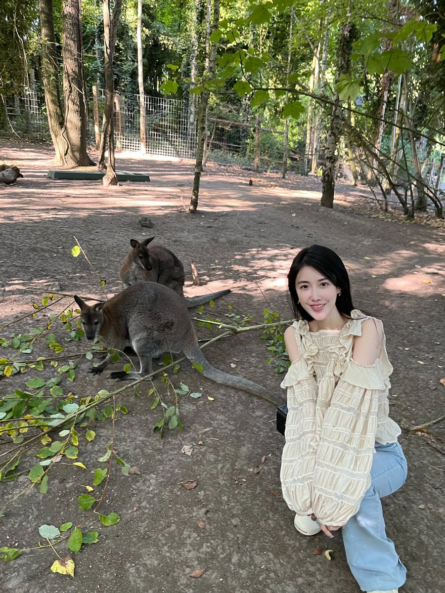 aryanejesusfer2's tweet photo. All-round contact with nature and zero distance communication with animals. https://t.co/IVb7lSdFe1