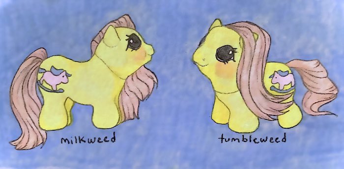 waterpiII's tweet photo. baby newborn twins: milkweed and tumbleweed https://t.co/PbYIvfIrHi