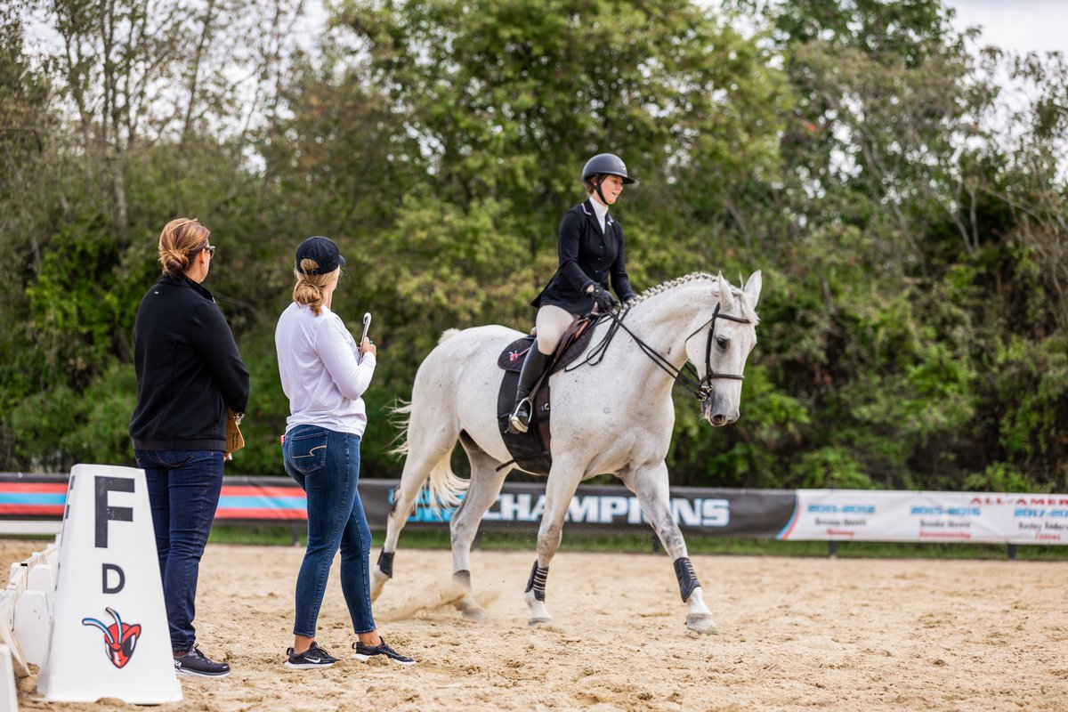 DSUEquestrian's tweet photo. 𝐌𝐨𝐬𝐭 𝐎𝐮𝐭𝐬𝐭𝐚𝐧𝐝𝐢𝐧𝐠 𝐏𝐥𝐚𝐲𝐞𝐫  
Junior Olivia Brown rode North Shore in the Flat on Friday, winning her point with a 71 and earning ECAC rider of the week!

Check out the press release here: https://t.co/Atyrqdq6Rd 

#makeaSTATEment #ECAC https://t.co/DWnb8SncwE