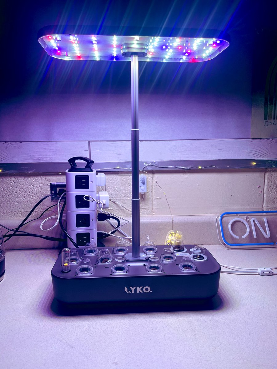 missoneals's tweet image. So today we started our journey of 🌱 plant growth 

Hydroponics Garden ☑️ 
Tomatoes 🍅 ☑️ 
Turnips 🥬 ☑️ 
Radishes 🥗 ☑️ 
Winter Squash ☑️ 
Green Thumb 🤷🏾‍♀️ 

#taggingexcellence #parklanesoars #fallgarden