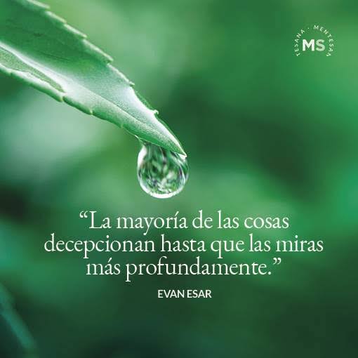 Alejandra Urbina (@auc_koda) on Twitter photo 