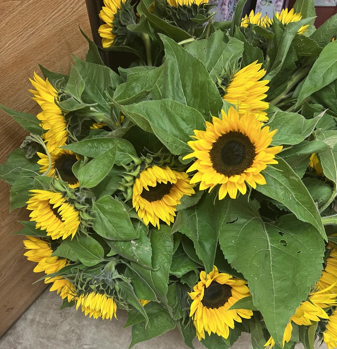NeillsFlowers's tweet photo. Beautiful Fall Flowers now available. Many varieties to choose from. Make your own arrangement or have us design one for you. #FallFlowers https://t.co/mygks4U9e9