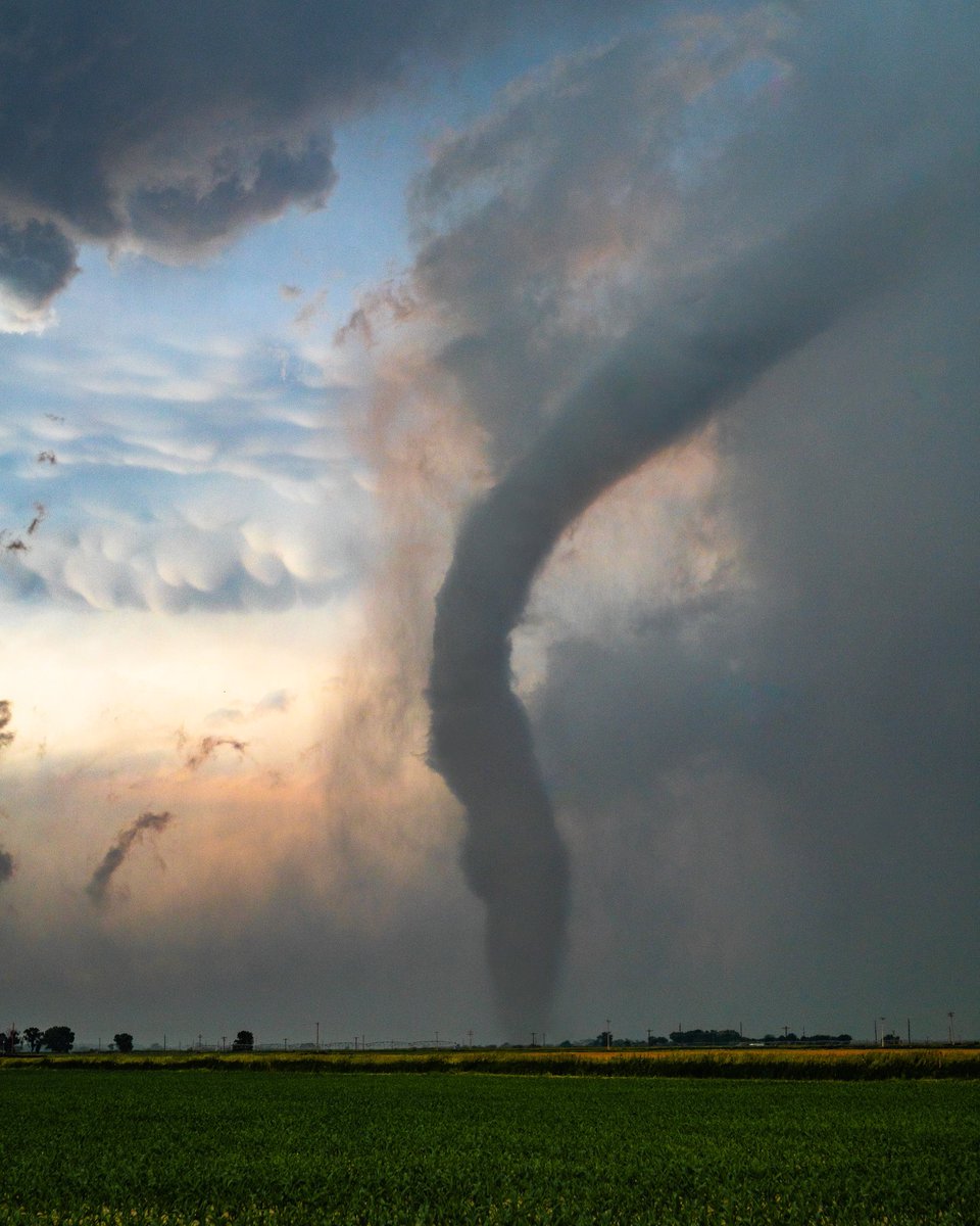 #tornadotuesday