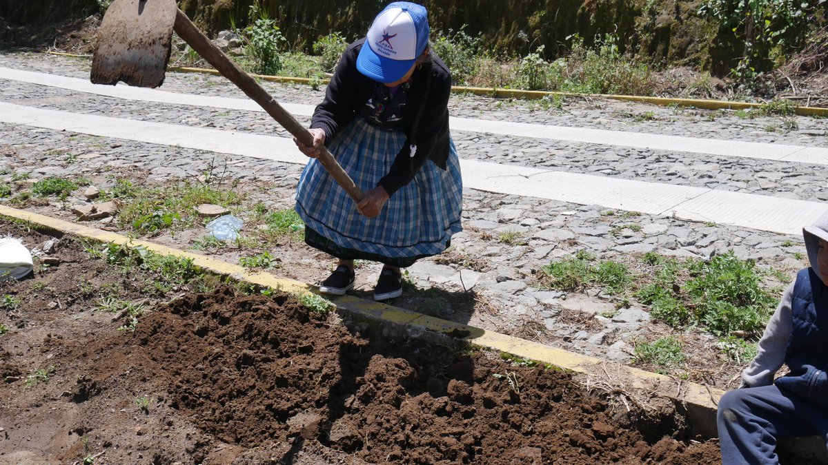 HORIZONT3000 - América Central tweet media