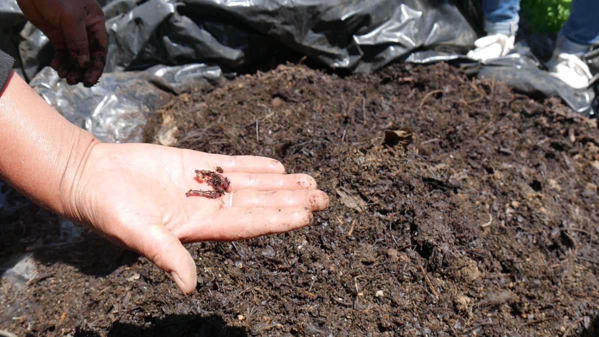 HORIZONT3000 - América Central tweet media