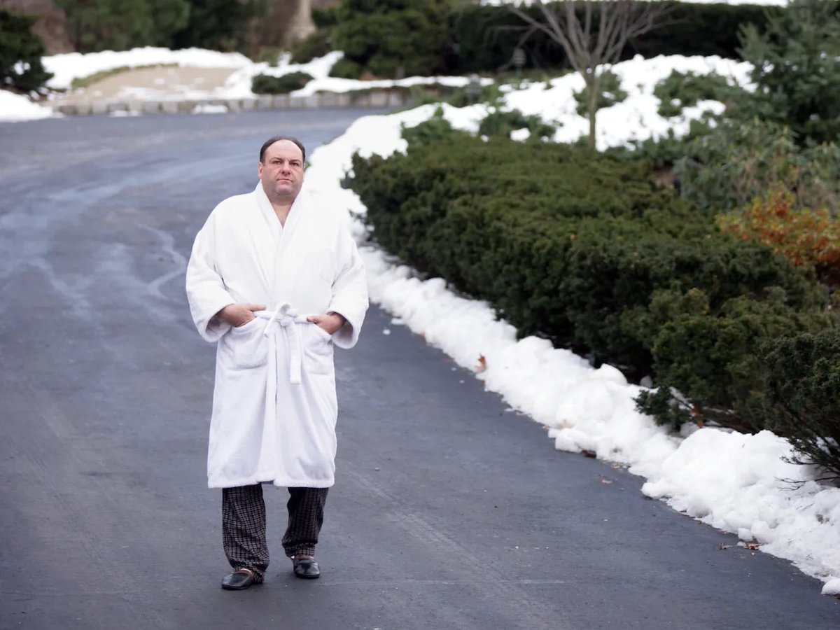 katcanter's tweet photo. I’m having a Tony Soprano fall (literally walking around my yard in a bath robe) https://t.co/1BIxbuOTvl