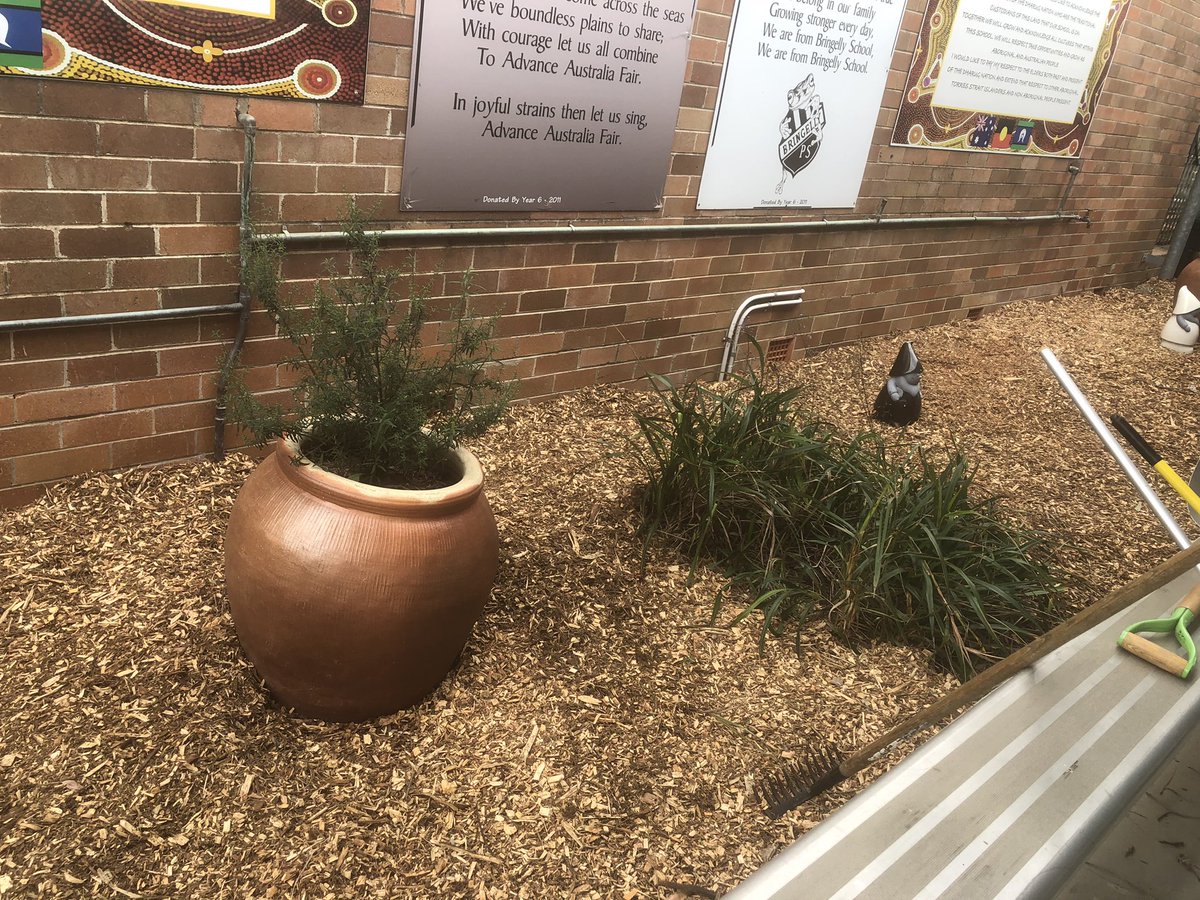 SimoneBillingh1's tweet photo. Love my community. Working bee in the holidays #bringellyps https://t.co/tb62ZEbks1
