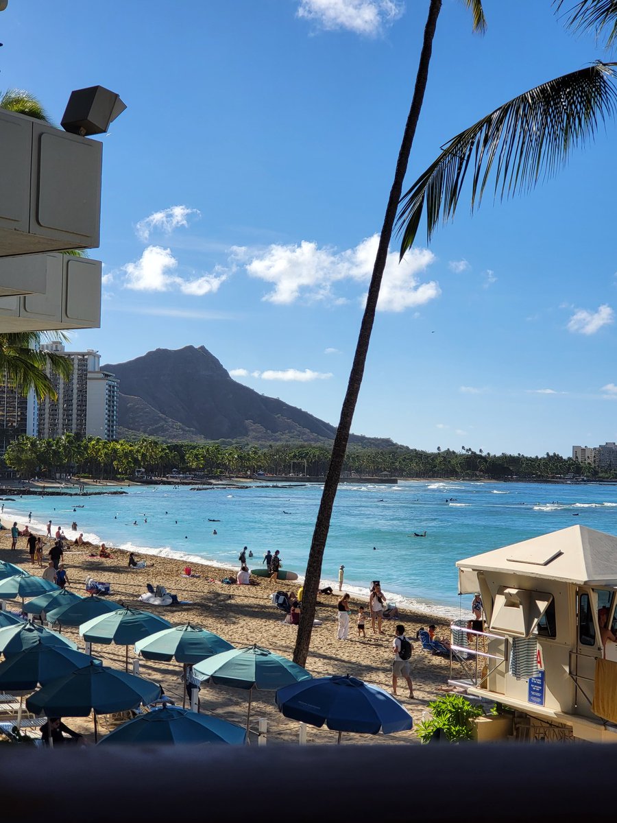 Diaho_Folf's tweet photo. Aloha oahu! https://t.co/IwZ99plbXJ