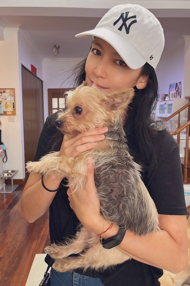 kellyhlin's tweet photo. Adopt don’t buy!! https://t.co/37iqiBZGnI