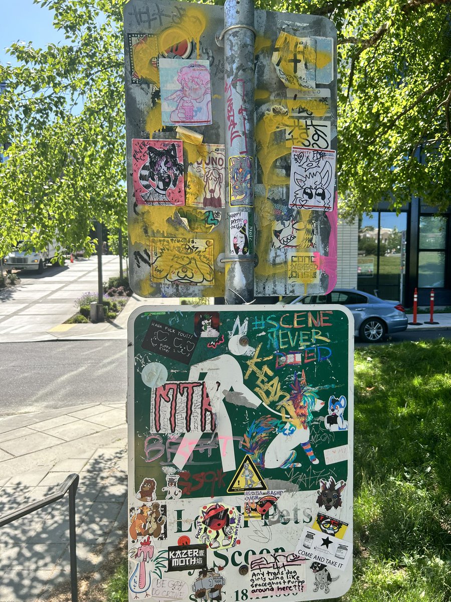 CapHill Street Art tweet media