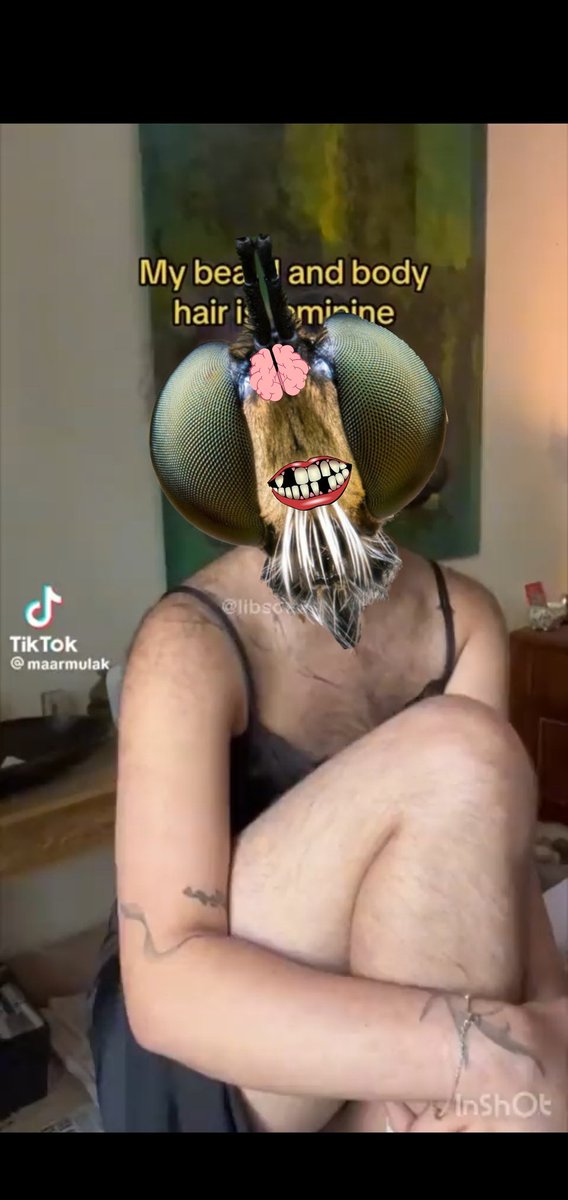 FlyBrain tweet media