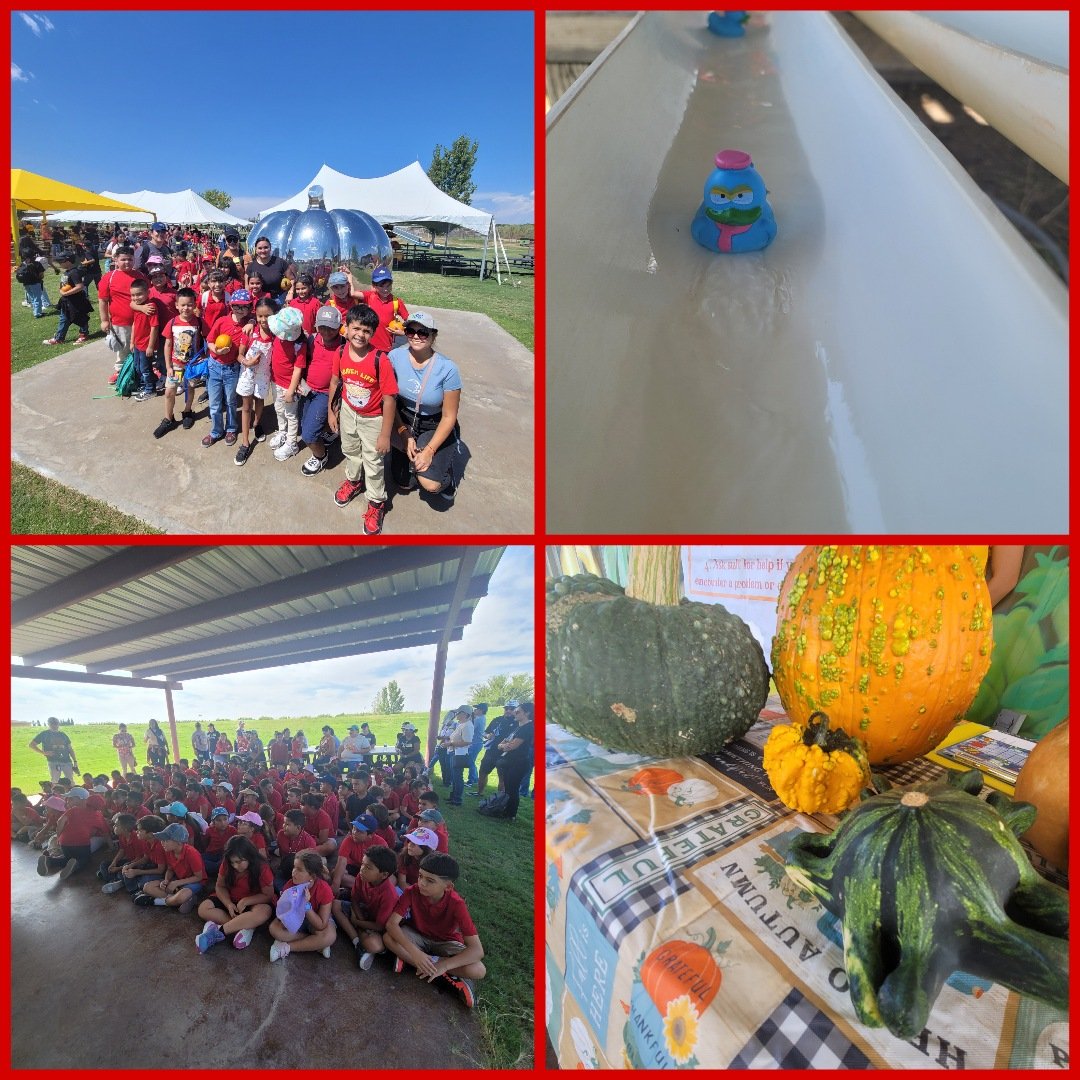 yangel00's tweet photo. Our 2nd grade #DHEBobcats had a BLAST today!! I couldn't have done it without my Right Hand Gal @MsCano_ #UTEPResident !!! A memorable field trip by far!!! #fun #2ndgradeRocks https://t.co/EvSfnf37Kn