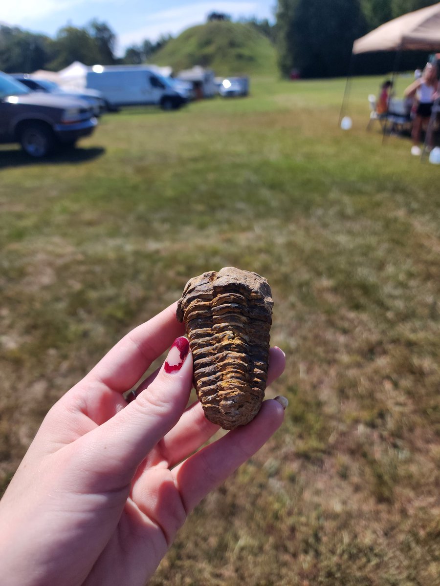 HAPPY (almost late) TRILOBITE TUESDAY EVERYONE

here is a trilobite fossil I bought at my local Native American/archeological celebration B)