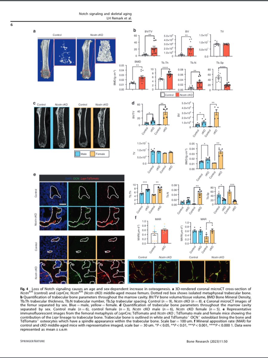Amazing work by our MD/PhD student and future Orthopedic Surgeon <a href="/lindseyremark/">Lindsey</a>
Congratulations on a job well done!! 
<a href="/nyugrossman/">NYU Grossman School of Medicine</a>
<a href="/nyulangone/">NYU Langone Health</a>
 rdcu.be/dm54s
