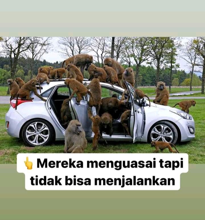 J4ck_Pipp0's tweet photo. @vanc1Bozz @jokowi Kalo cm kerja kebo d sawah pun kerja
Hidup presiden wakanda 🫰 https://t.co/VGFGLgGnR4