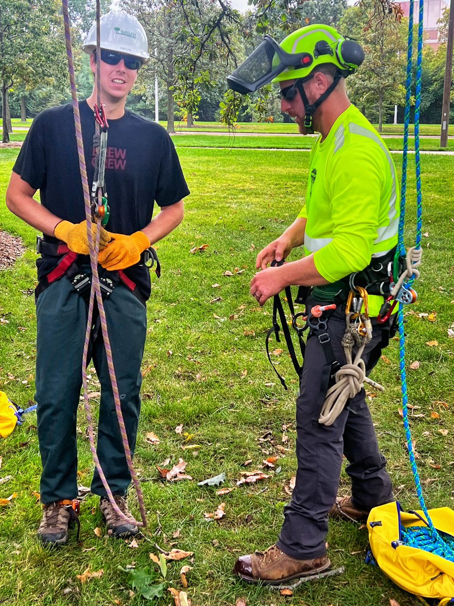 ChicagoTreeMD's tweet photo. @BartlettTreeExp training @michiganstateu horticulture students on tree climbing basics. #arboriculture #GoGreen #safetyaboveallelse #cultureofcaring https://t.co/R5altW8ZcJ