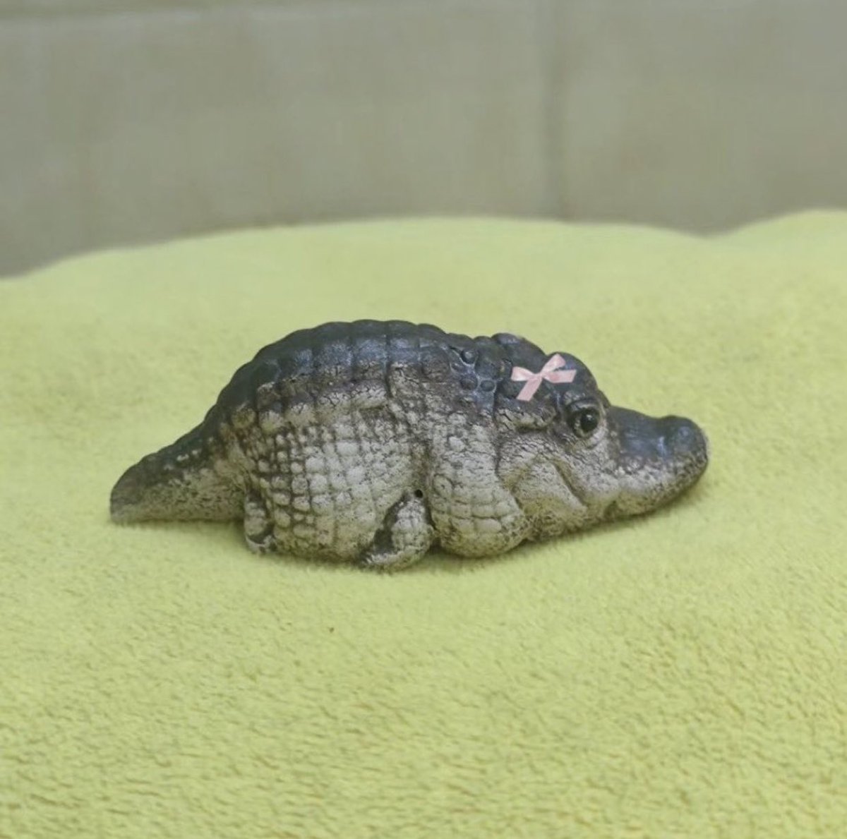 ワニの赤ちゃん可愛すぎて一生見てられるな