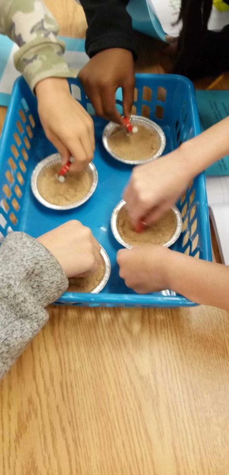 Needville Middle School tweet media