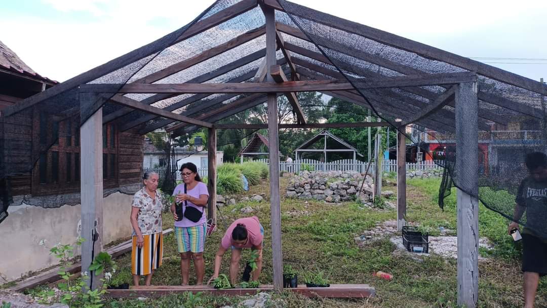 Agroforest_JAL's tweet photo. En la #RITER de "Roble Grande" en el ejido Noh-Bec se iniciaron los trabajos de instalación del nuevo vivero de plantas medicinales, un esfuerzo para la conservación de algunas especies de plantas de la región.
#MasDeLoQueAbona
#SomosSelvaMaya
#SomosRITER
@Mexico_TNC https://t.co/UdYRPxnQAZ