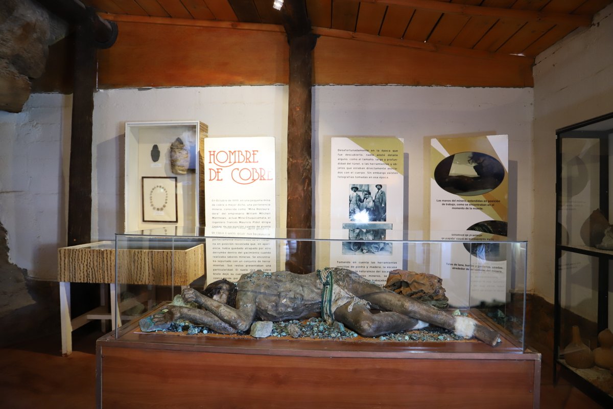 tmpodnoticias's tweet photo. En Calama intentan repatriar milenaria momia de "El Hombre de Cobre" desde el Museo de Historia Natural de Nueva York. Iniciativa combina voluntades políticas, al municipio, Codelco, comunidades locales e investigadores. https://t.co/sJ5hxgD1dI