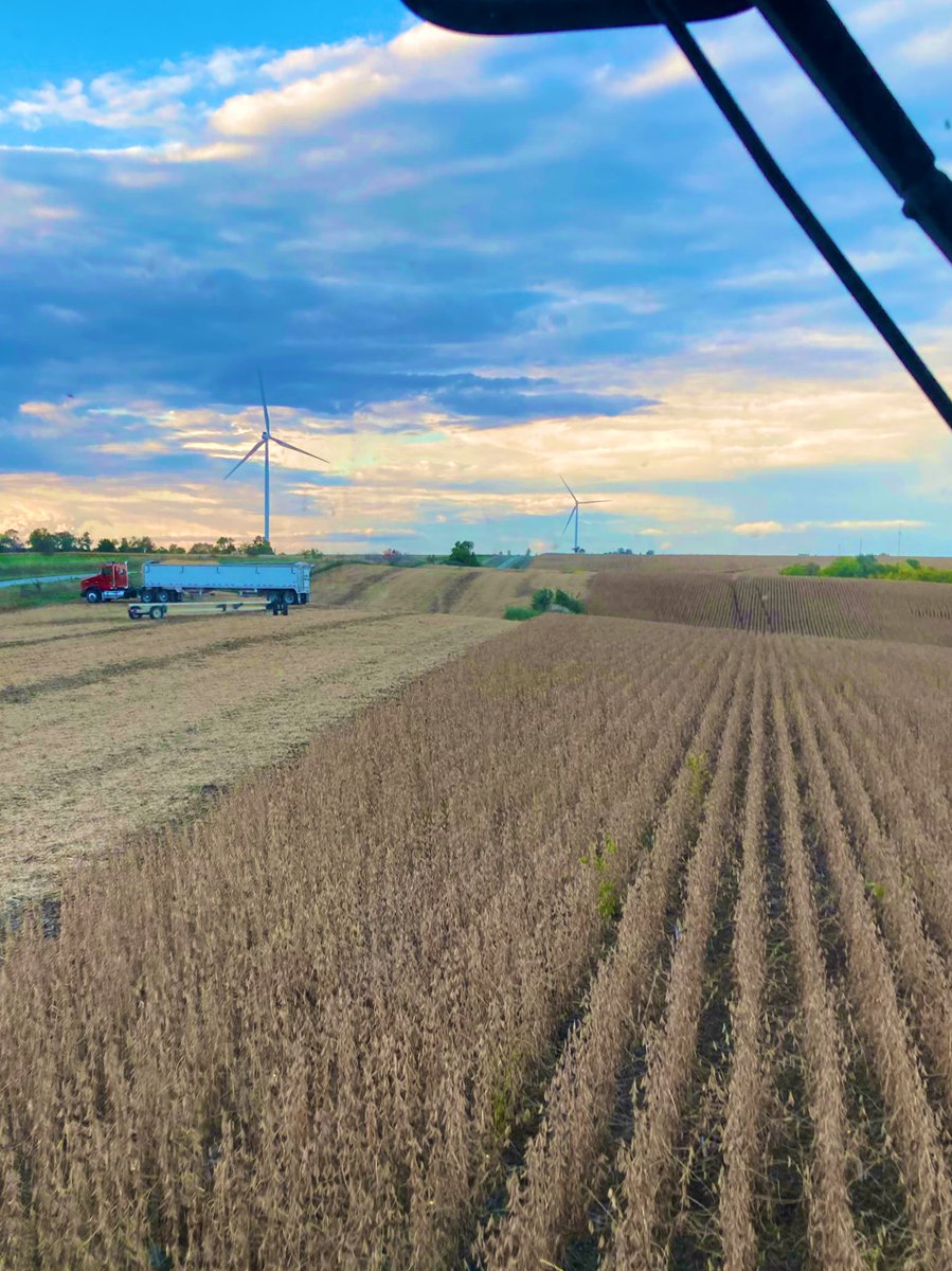 Finally in the field #harvest23