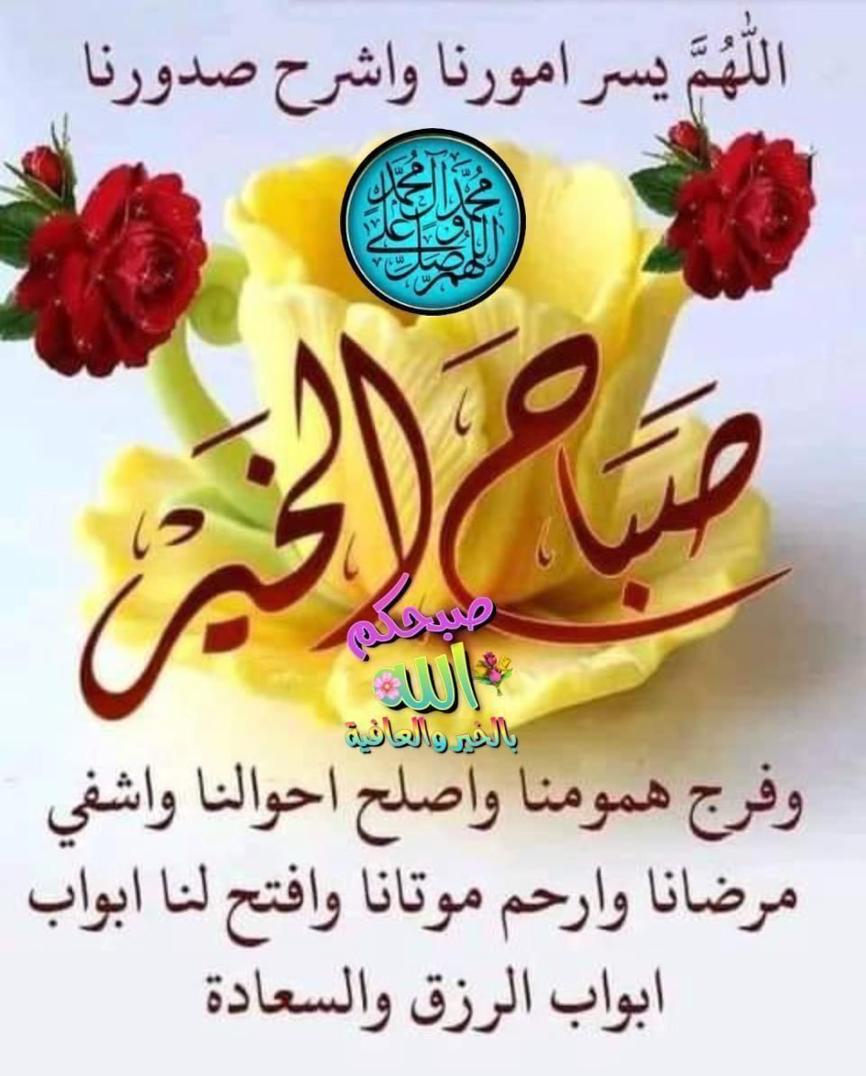 احمد tweet media