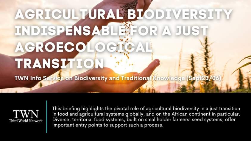 3rdworldnetwork's tweet image. Agricultural #Biodiversity Indispensable for a Just #Agroecological Transition. Diverse, territorial #food systems, built on smallholder farmers’ seed systems, offer important entry points to support such a process.

 #Agriculture

➡️twn.my/title2/biotk/2…
