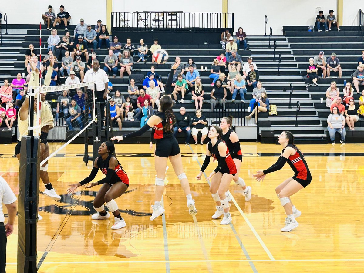 Canyon Volleyball tweet media