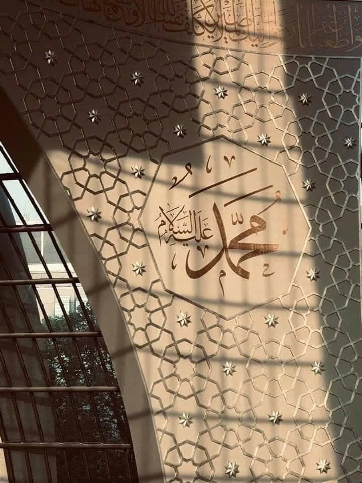 drTahlawy's tweet photo. السلامُ عليك يوم خُيّرت بين الخلد في الدنيا ولُقيا ربك، فاخترت قائلاً: بل الرفيق الأعلى.

السلام عليك حيًا فينا لا تموت أبدًا،
نُحبك، ونُحب من يحبك،
والموعد الحوض كما أخبرتنا وإنّا لنُصدّقك..

اللهم صلِّ وسلِّم وبارك على سيدنا محمد https://t.co/kwDL22tnoE