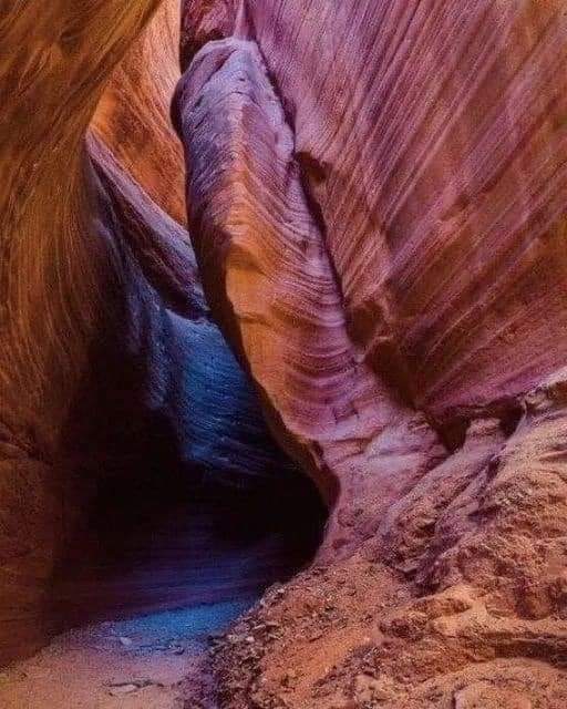 La madre naturaleza siempre te muestra lo que necesitas. https://t.co/1yUQB0pOZI