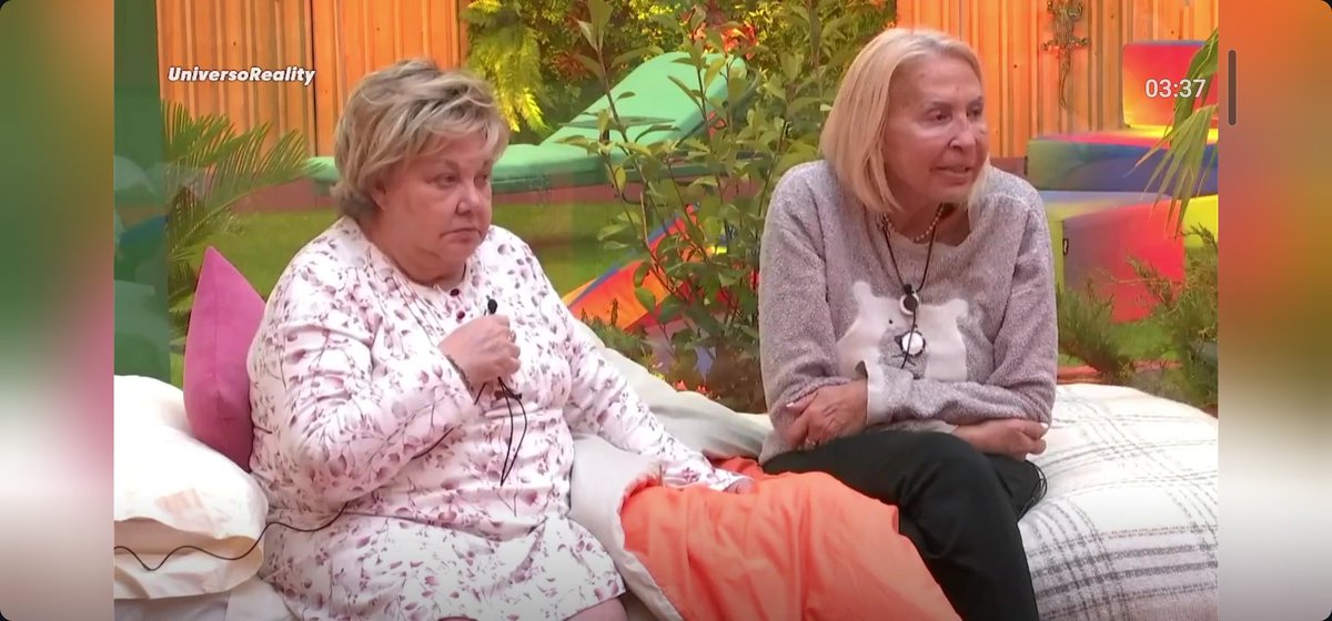 Nsdimeetu's tweet image. Yo con mi novio cuando hay chisme en el barrio :
#GHVIP26S #GHVIP27S