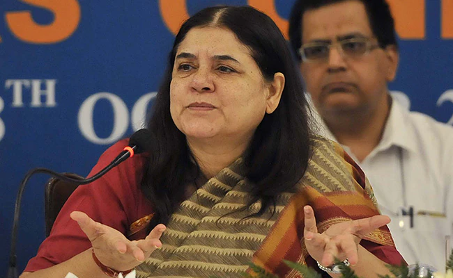 'ISKCON Biggest Cheat, They Sell Cows To Butchers': BJP MP Maneka Gandhi ndtv.com/india-news/isk…