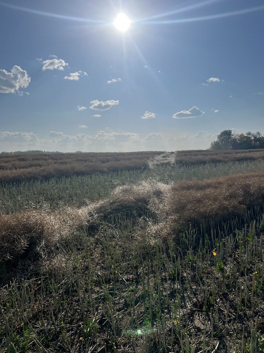 This is why farmers don’t let people on their land.  Across the whole quarter, very disappointing.