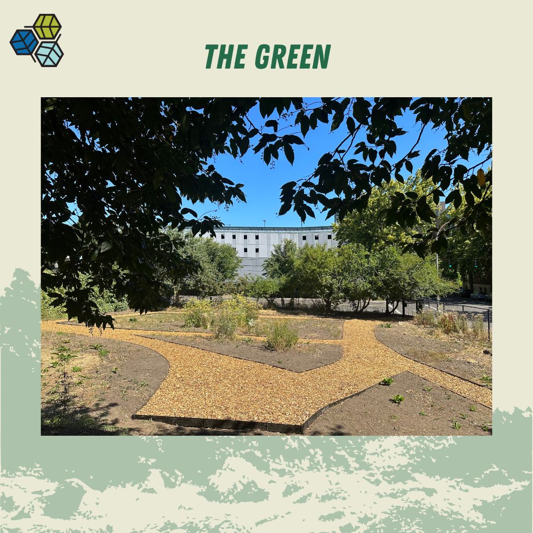 Dig in! 🌱
Our first garden event of the season! Join us as we break ground on a new campus garden and greenspace called The Green, right next to the Orchard. 🌳
September 22 from 11am- 1pm.
See you there!
pdx.givepulse.com/event/396071