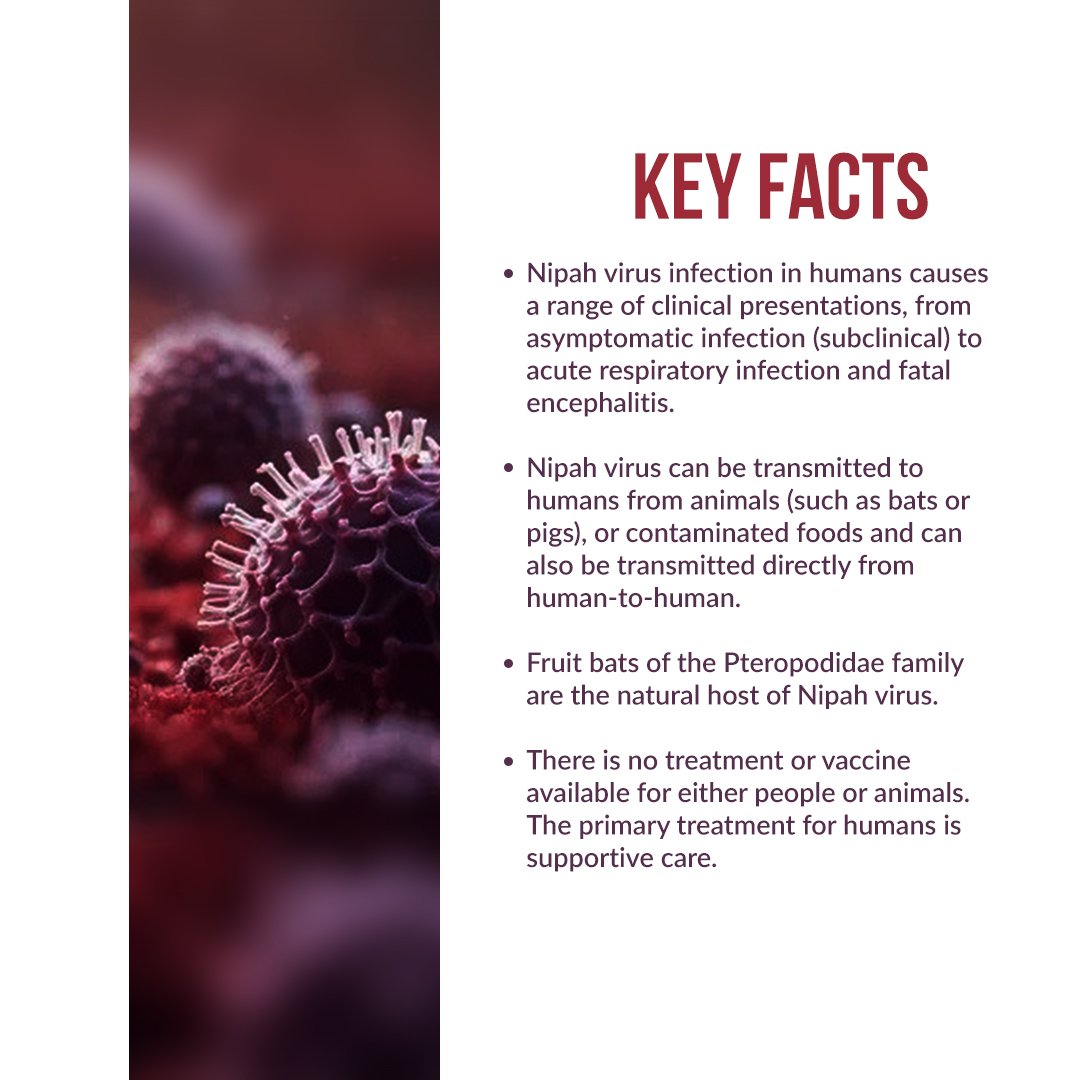 BU_ORIONVIII's tweet photo. Nipah Virus- The resurgent outbreak in India. https://t.co/pYTAhuemkx