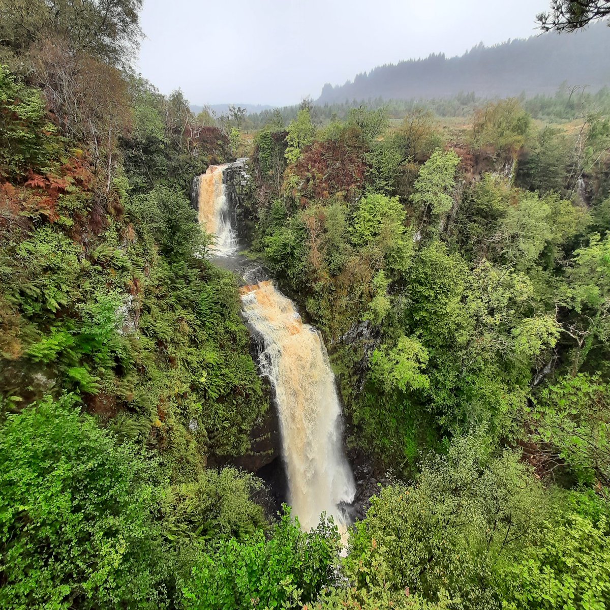 Glenashdale falls on the #isleofarran, looking spectacular after heavy rain. @ForestryLS #waterfalls @VisitScotland