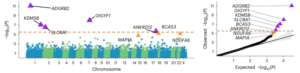 [Chen et al. 2023 NG; pubmed.ncbi.nlm.nih.gov/37231097/] looked for rare coding associations with three phenotypes: Edu, Reaction Time, VNR. They found 5 associations with Edu (+3 others), demonstrating that Edu can be a reasonable and accessible proxy phenotype for rare var studies.