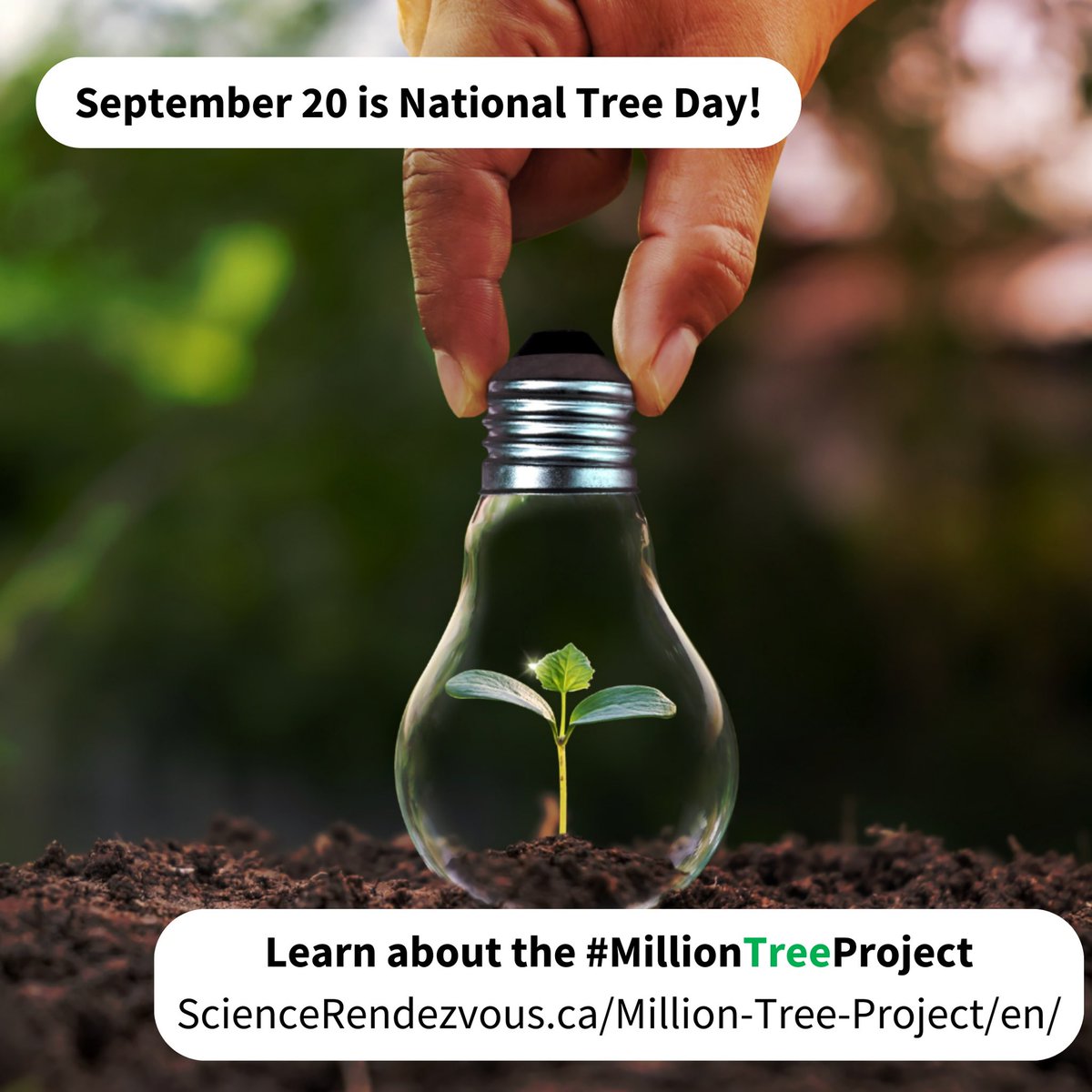 2. Wednesday is #NationalTreeDay! Learn about the #MillionTreeProject at ScienceRendezvous.ca/Million-Tree-P…