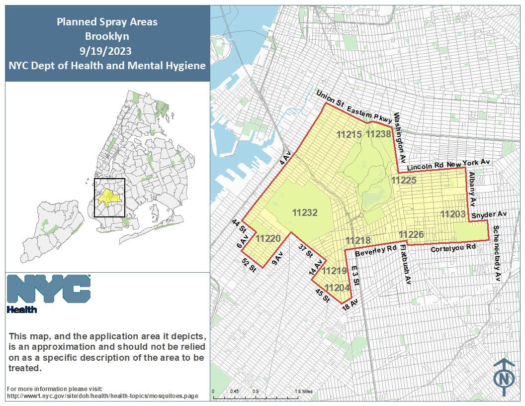 Central Brooklyn Independent Democrats tweet media