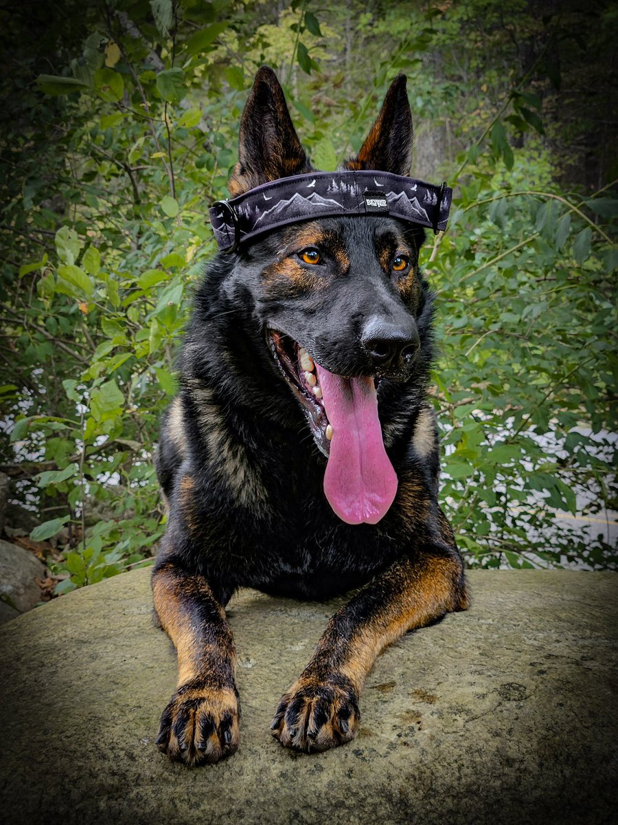 Beyond the Trail | Nicole tweet media