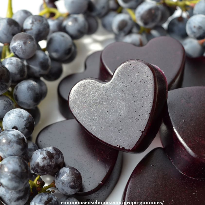 CommonSenseIdea's tweet image. We turned some of the grape harvest into these fun grape gummies. If you don&apos;t have a candy mold, just pour them into a pan and then cut them to shape.
Get the recipe here =&amp;gt; commonsensehome.com/grape-gummies