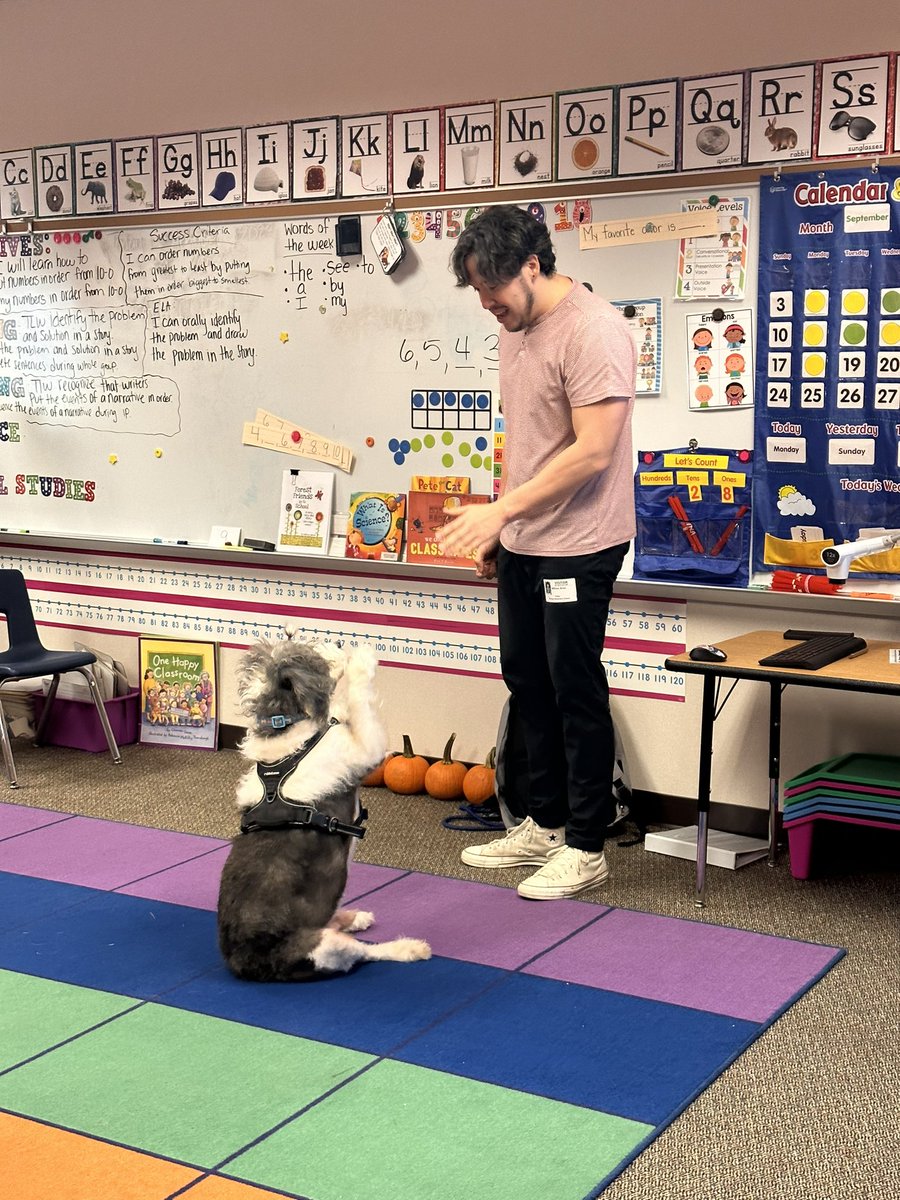It was so wonderful to welcome back this week Healing Species Texas to our school @PetroskyPirates Our kinder students enjoyed their time with Char. Mr. Will did a fabulous job with the students. Thank you so much! #AliefProud @AliefISD @AliefCounseling