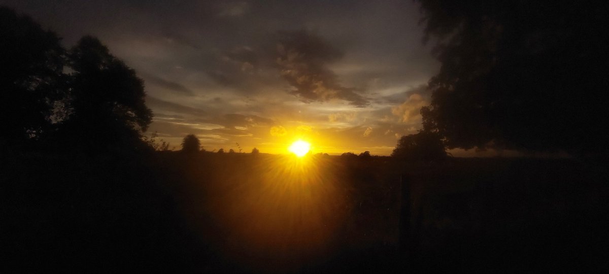 PbPhotoLaureate's tweet photo. Evening light #sunset #Peterbrough https://t.co/s2ek6fCJyv