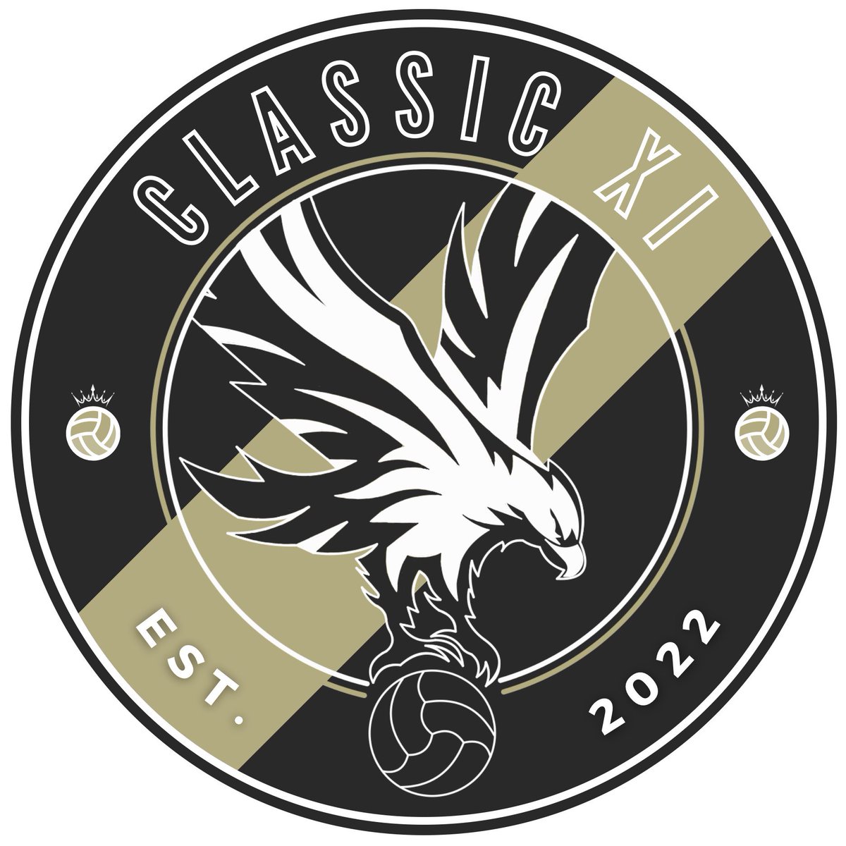 IRONI30I's tweet photo. New club crest for the new game, designed and created by @NeBuLaSpIrItZz 🤝 @OfficialVPG https://t.co/bcGWch8Snj