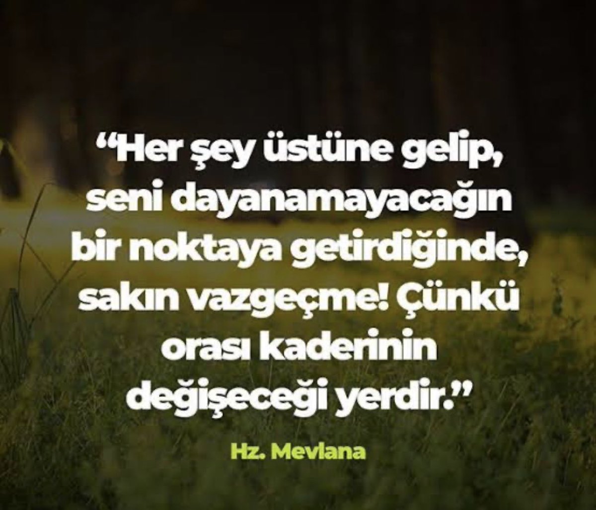 Zeynep Salman içli (@zynpslm) on Twitter photo 