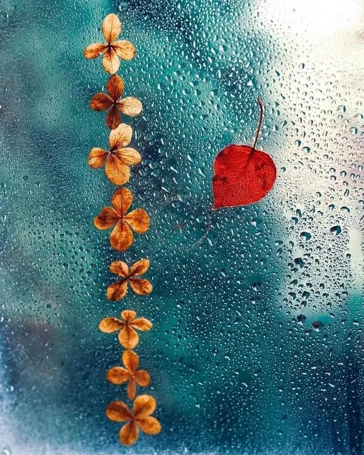 يَآرَب عَفُوكْ لَمَا هُو فَاتّ وَ حُسنْ تَدبيركْ لَمَا هُو أتِ