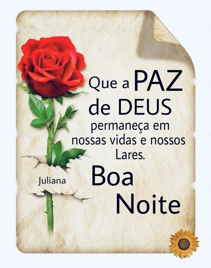 Ótima noite! Bom descanso pra vc também fica com Deus!🙏🏼🕊️🌜 #QuartaCarpeDiemSDV🌻 #QuartaPimentinhasSDV🌶️